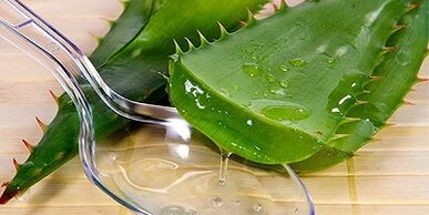 Aloe-Saft zur Behandlung von Krampfadern in den Beinen.